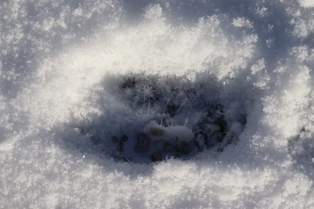 snow crystals in deer footprint