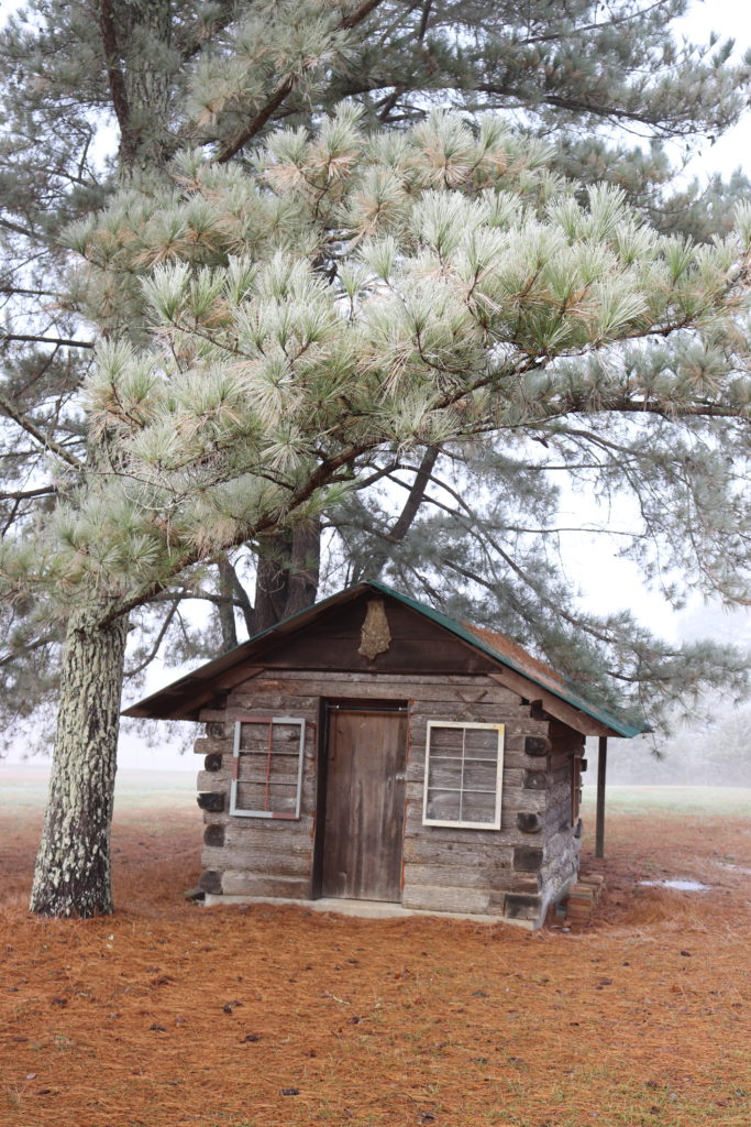 Storage at Ginger Lodge