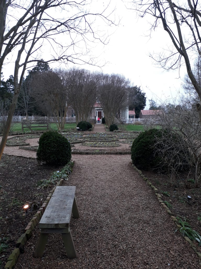 Rachel's garden