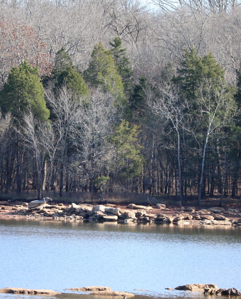 trail along Lake Hunter