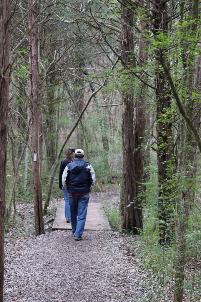 loop trail, TN