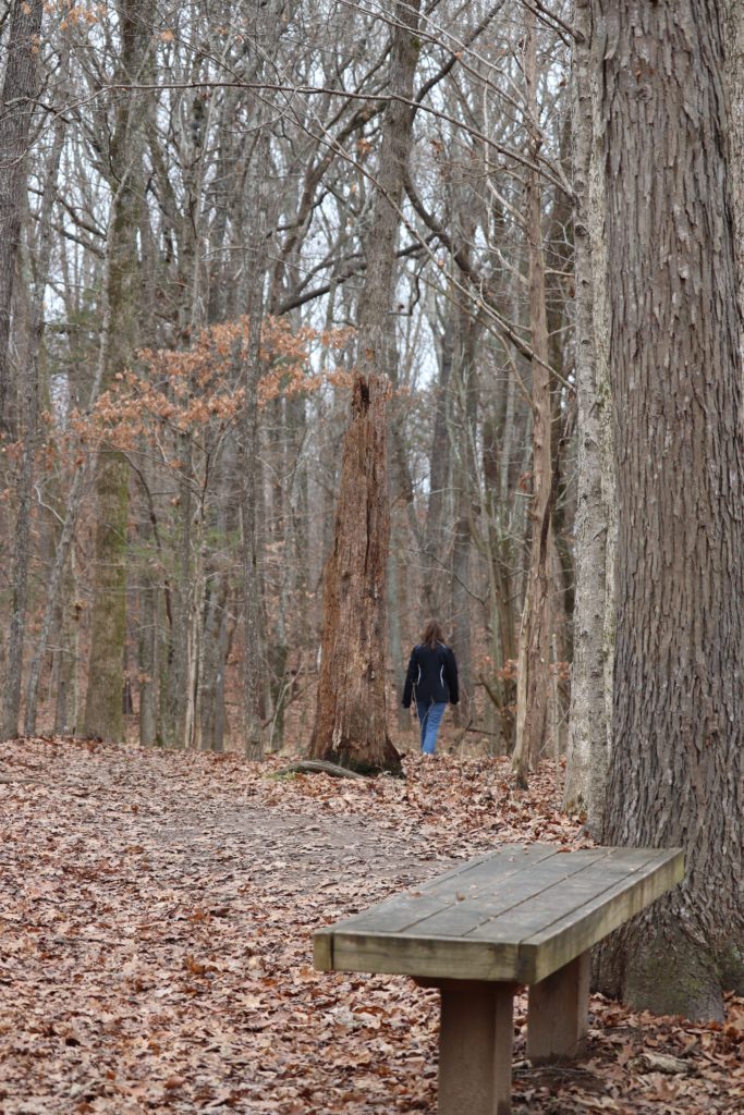 loop trail on Lake Priestly, TN