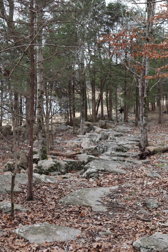 rocky shore of Lake in TN